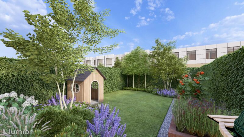 10_DEAS_Aster_03 Aster