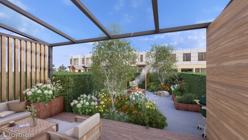 24_DEBO_Borago_01 Borago