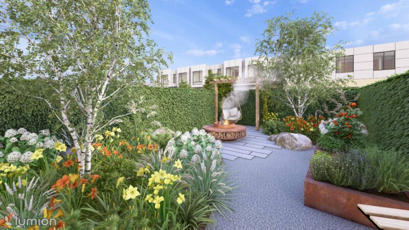 24_DEBO_Borago_02 Borago