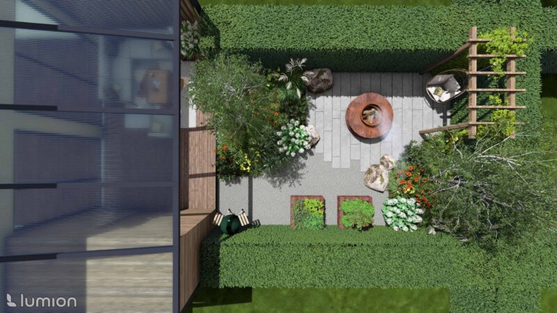 24_DEBO_Borago_04 Borago