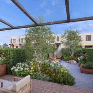 25_DEDR_Draba_01 Draba