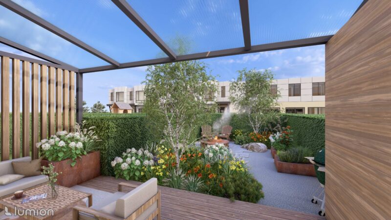 25_DEDR_Draba_01 Draba