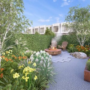 25_DEDR_Draba_02 Draba