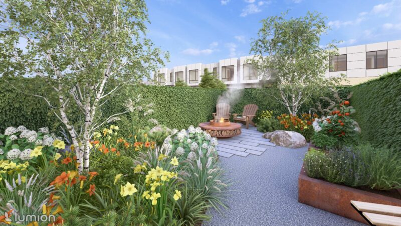 25_DEDR_Draba_02 Draba