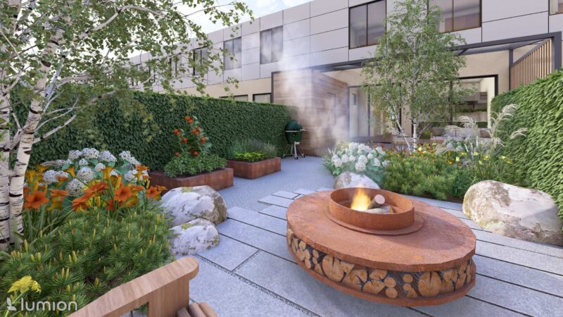 25_DEDR_Draba_03 Draba