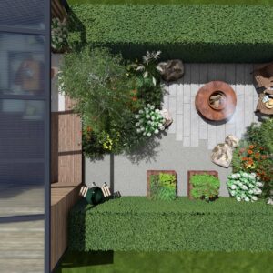 25_DEDR_Draba_04 Draba