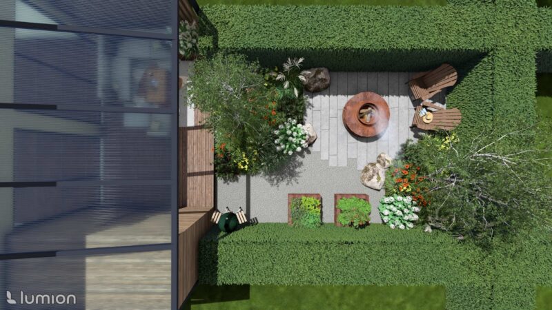 25_DEDR_Draba_04 Draba