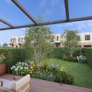 28_DEOX_Oxalis_01 Oxalis