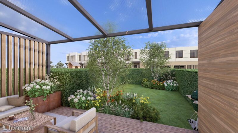 28_DEOX_Oxalis_01 Oxalis