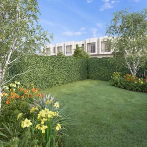 28_DEOX_Oxalis_02 Oxalis