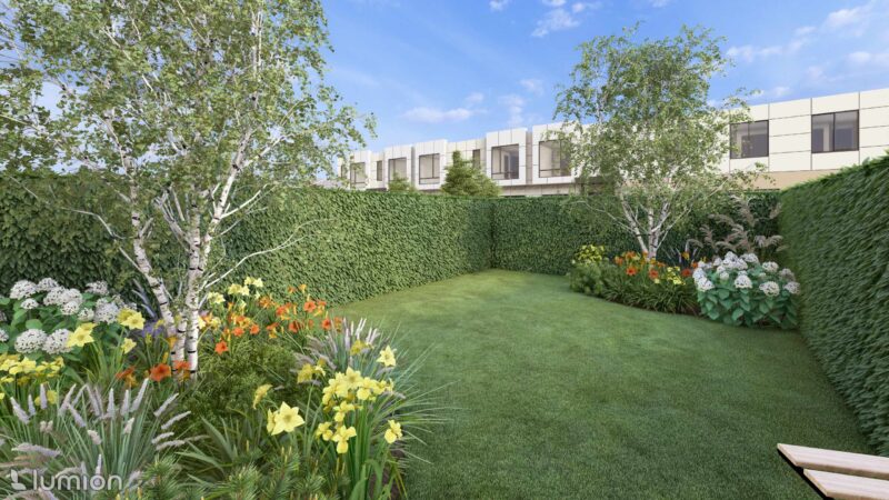 28_DEOX_Oxalis_02 Oxalis