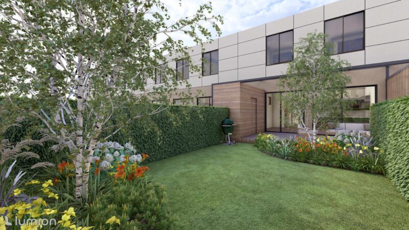 28_DEOX_Oxalis_03 Oxalis