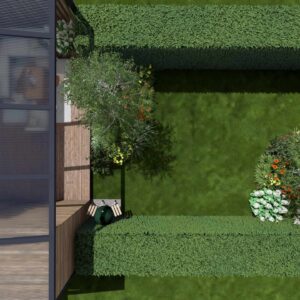 28_DEOX_Oxalis_04 Oxalis