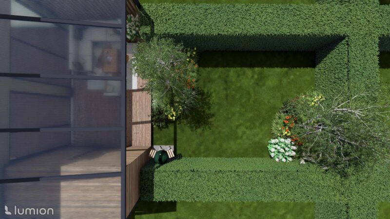 28_DEOX_Oxalis_04 Oxalis