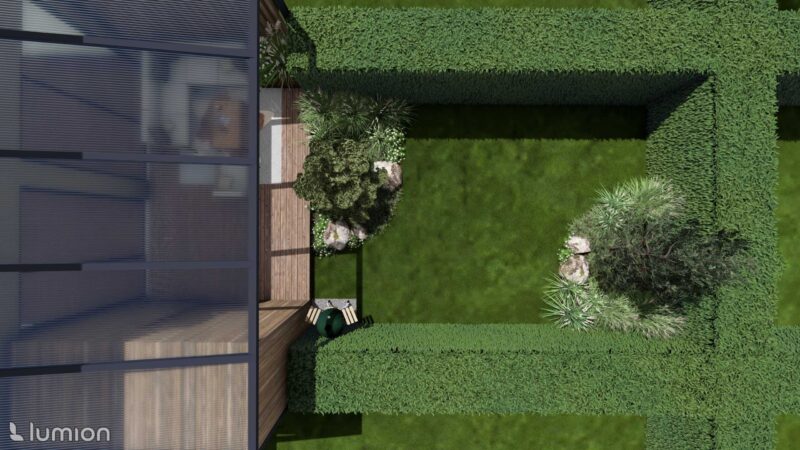 29_DEAL_Allium_04 Allium