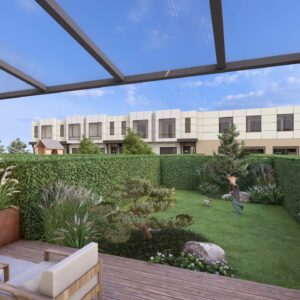 29_DEAL_Allium_05 Allium