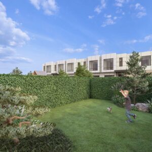 29_DEAL_Allium_07 Allium