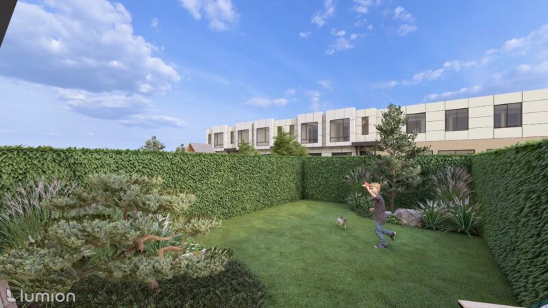 29_DEAL_Allium_07 Allium